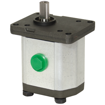 Components _ Hydraulic components - ROQUET _ Roquet Gear Motors _ Gr.II single Motors _ Threaded side ports (R type) - Gr.II Gear motor/ 10 flange/C type shaft/Side ports type R (producto)